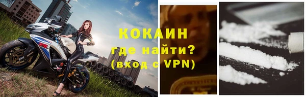 бошки Дмитриев