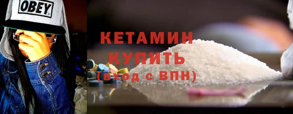 индика Ельня