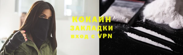 бошки Дмитриев