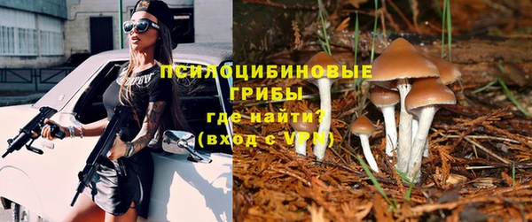 PSILOCYBIN Дмитровск