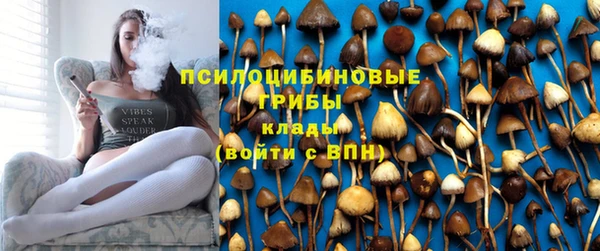PSILOCYBIN Ростов
