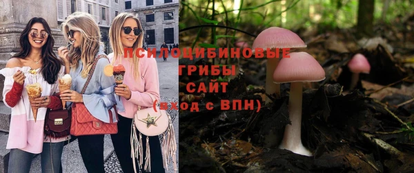 a pvp Дмитров