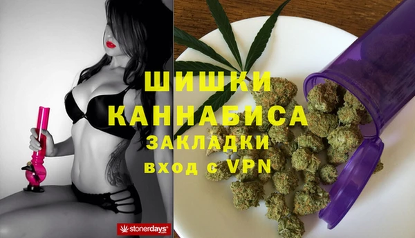 PSILOCYBIN Дмитровск