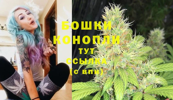 PSILOCYBIN Дмитровск