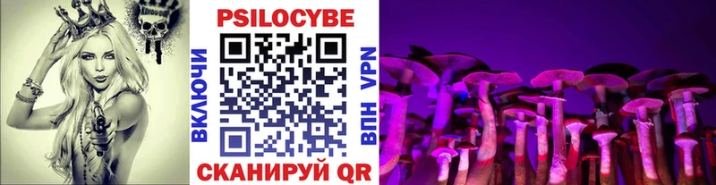 Псилоцибиновые грибы GOLDEN TEACHER Купить где Калязин